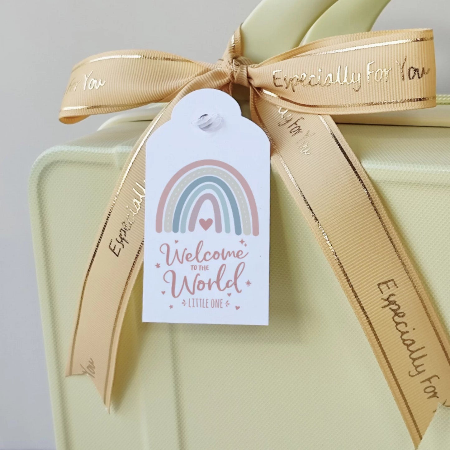 Fistic Baby Gift Set in Keepsake Suitcase