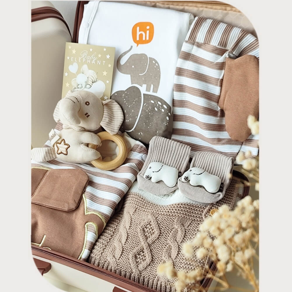 Elephant Baby Gift Set