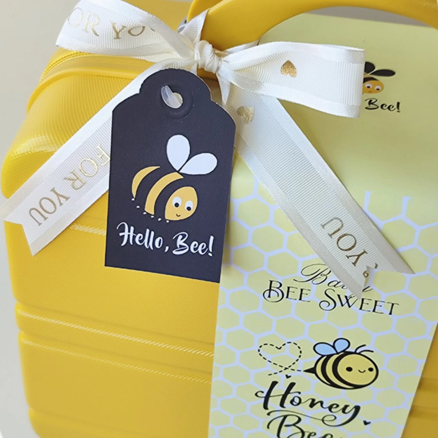 Honey Bee Baby Gift Set in Keepsake Suitcase