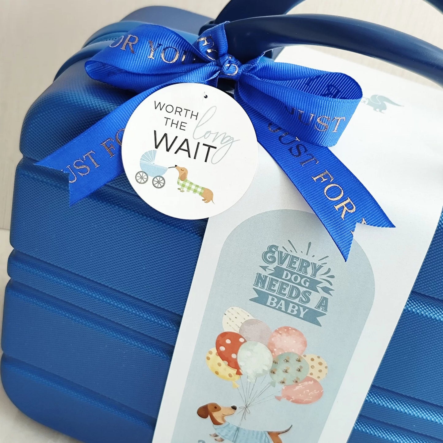 Puppy Baby Gift Set in Keepsake Suitcase