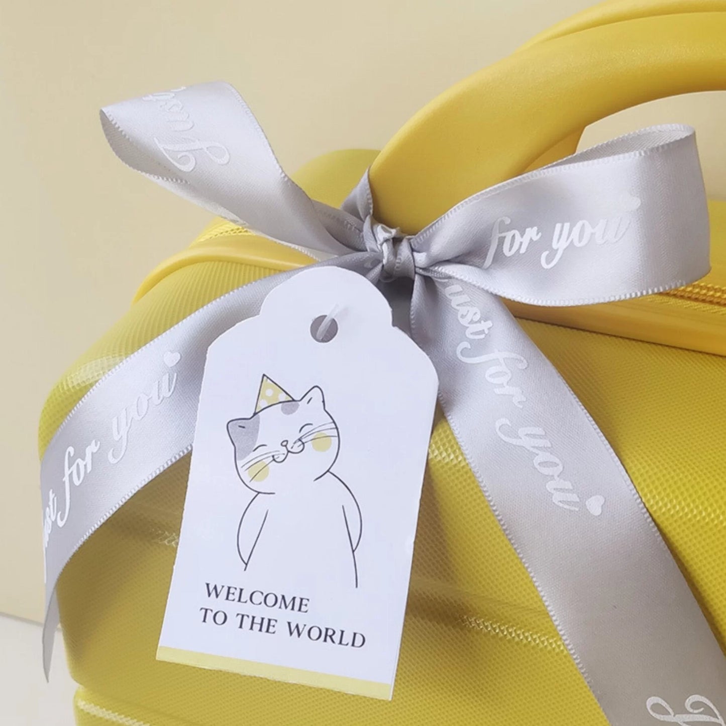 Kitten Baby Gift Set in Keepsake Suitcase