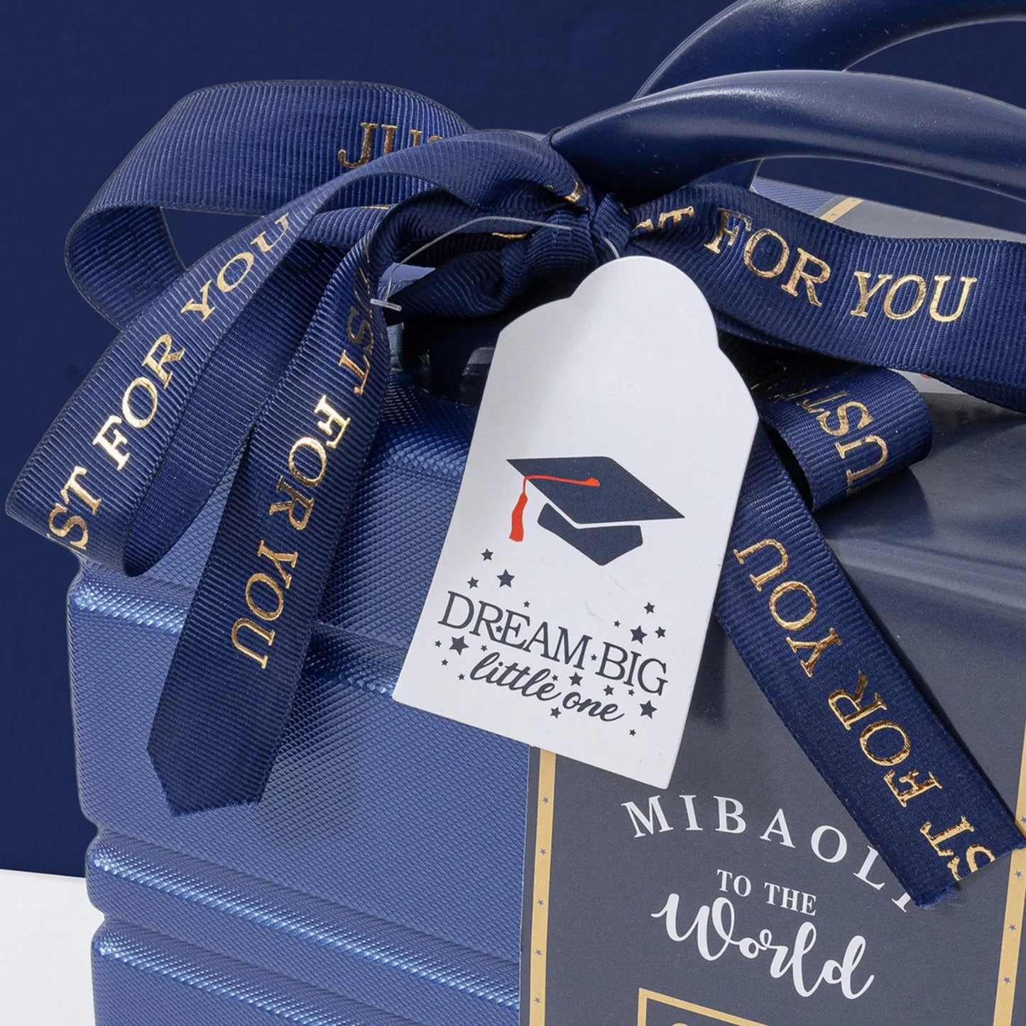 Meeting Baby Gift Set in Keepsake Suitcase